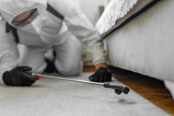 Professional Pest Control technician working in Dunklin County County, MO